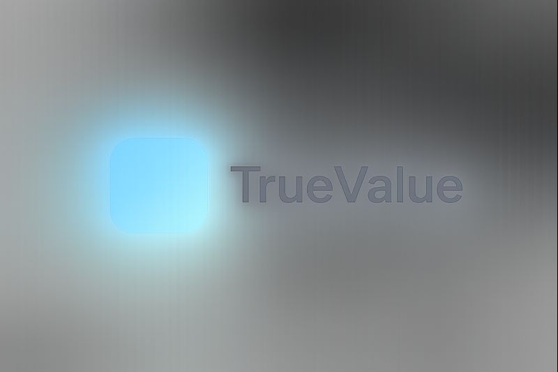 TrueValue Singapore — Quality Home Improvement & Hardware Solutions Logo